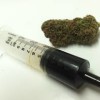 Cannabis oil, Children & Cancer.. A fathers story.