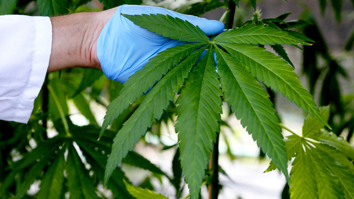 Hemp Oil Capsules to be Showcased