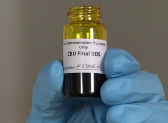Wisconsin Fails to Allow Access to CBD
