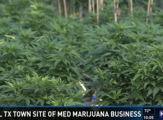 Small Texas Town Starts Medicinal Oil Business