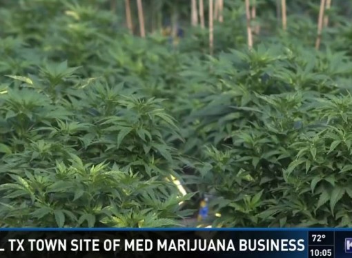 Small Texas Town Starts Medicinal Oil Business