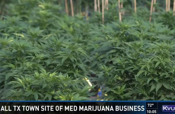 Small Texas Town Starts Medicinal Oil Business