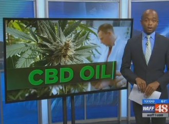 Alabama Closer to Passing Medicinal CBD Bill