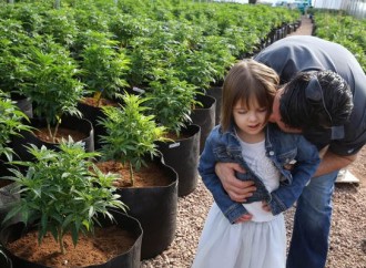 Charlotte’s Web, The Answer to Child Epilepsy?