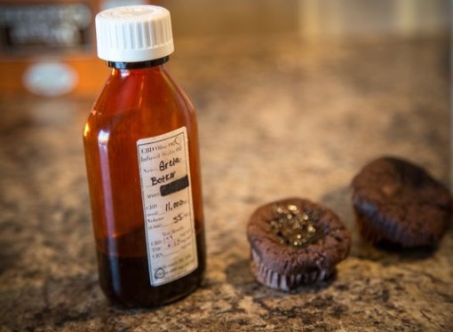 Kentucky Legalizes Marijuana for Medicinal Research