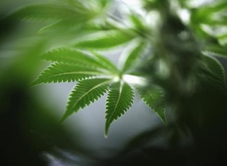 Have Recreational? Why see a Doctor?