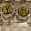 Growth Potential in the Medical Marijuana Market in Pennsylvania