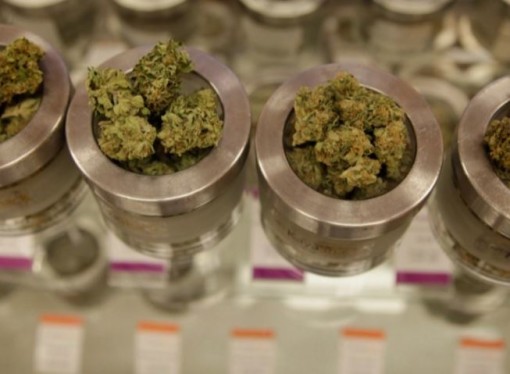 Growth Potential in the Medical Marijuana Market in Pennsylvania