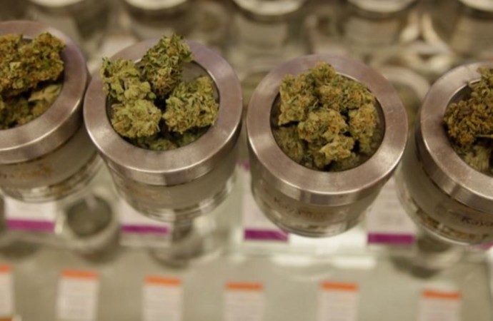Growth Potential in the Medical Marijuana Market in Pennsylvania