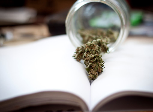 Proposed Zoning Ordinance for Medical Marijuana businesses – Pennsylvania