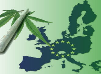 Europe Update: The Latest Cannabis News