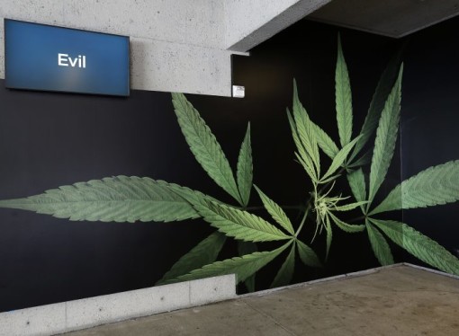 Report: Legalized Weed in CA could grow the industry by $6.5B in 2020