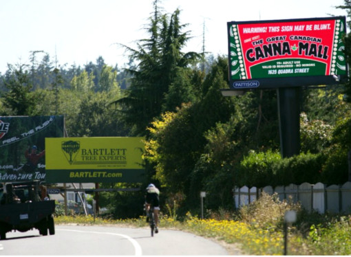 Interesting News: ‘Canna Mall’ aims to be hub of Victoria’s marijuana culture