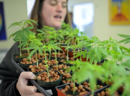NY Expands Medical Marijuana Program, Allow Deliveries
