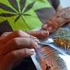Enthusiasm for Medical Marijuana Ahead of Science