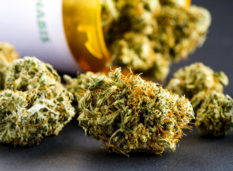 First Bill Dealing With Medical Marijuana Filed Tuesday
