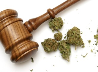 Will Legal Marijuana Flourish or Fold In 2018?