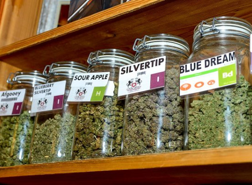 Michigan Unveils New Label for Medical Marijuana