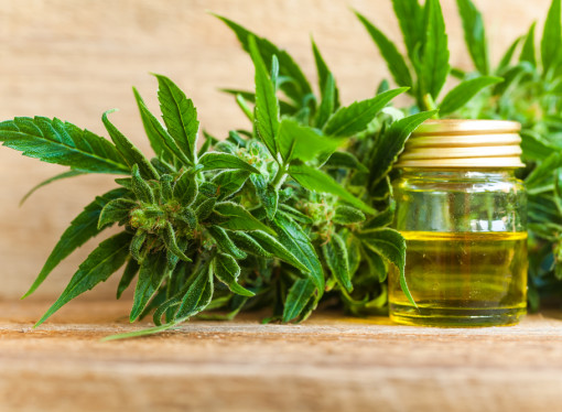 Idaho Bill Would Allow Use Of Cannabis-derived CBD Oil