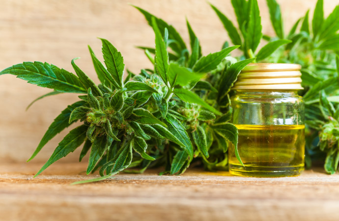 CBD Industry Giant Launches Crowdfunding Campaign