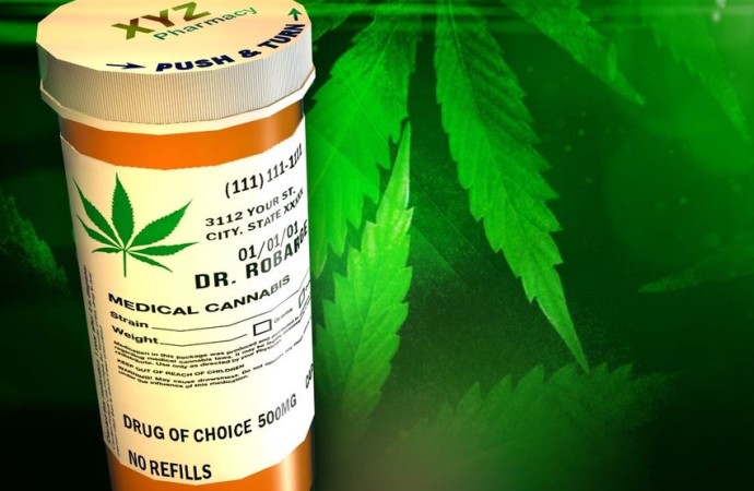 Unauthorized physician signed 600 patients’ medical marijuana paperwork