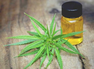 Cannabis oil: It’s Medicine And It’s Time