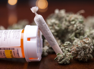 WV House Passes Medical Marijuana Changes