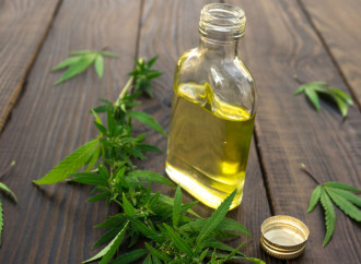 DHHS Issues Warning About Cannabis Oil