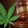 New Medical Marijuana Rules Go Into Effect In Montana