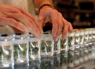 Medical Marijuana May Reduce Opioid Use A Little