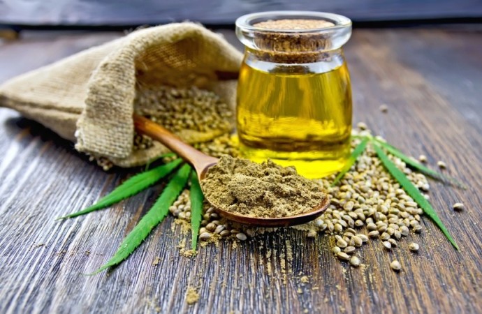 CBD Oil: What No One Is Talking About