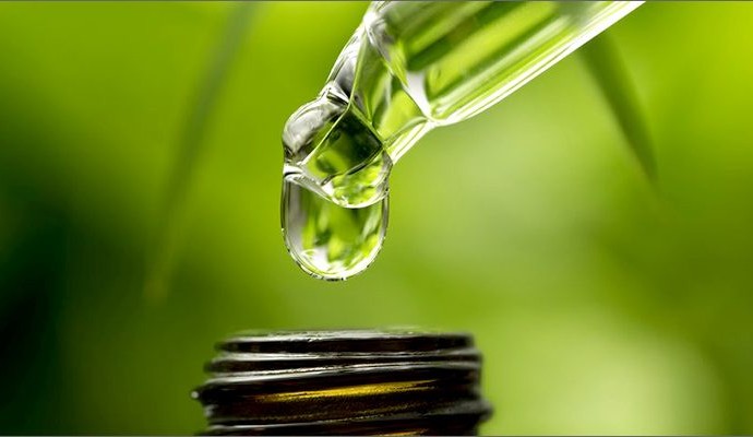 Advantages Of CBD Oil On Weight Loss And Obesity