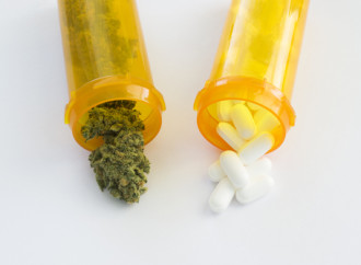 Will Medical Marijuana Replace Opioids In War On Cancer?