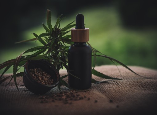 Hemp Oil vs CBD Oil for Anxiety: What You Should Know