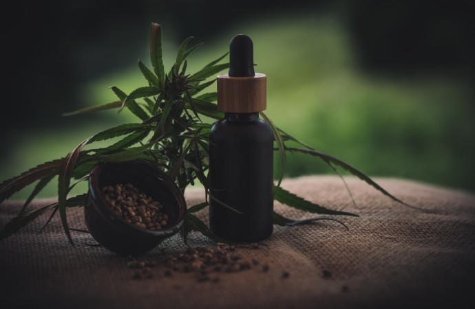 Hemp Oil vs CBD Oil for Anxiety: What You Should Know