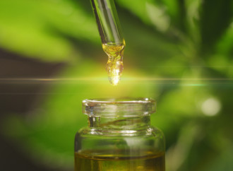 Discovering the Benefits of CBD oil