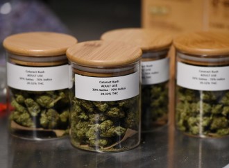 Medical marijuana shops can now sell recreational product in Jackson