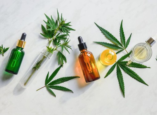 Explainer: What’s the difference between CBD oil and hemp oil?