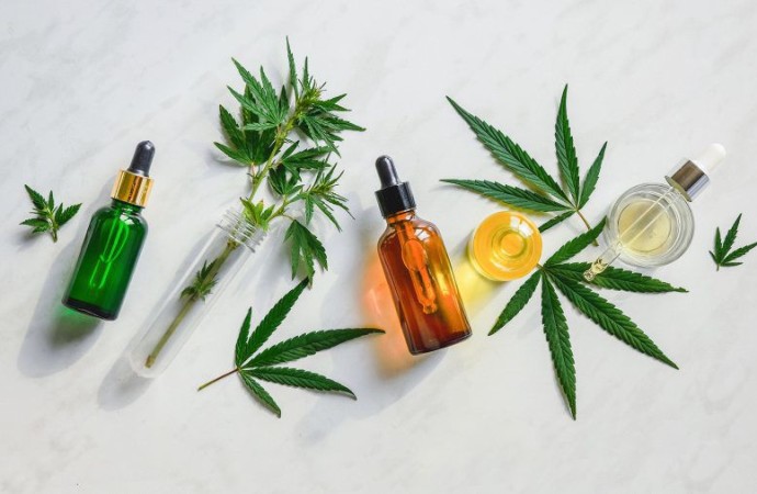Explainer: What’s the difference between CBD oil and hemp oil?