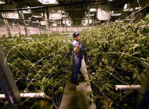 CT lawmakers approve new medical conditions for medical marijuana program