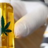 AUT to offer medicinal cannabis paper