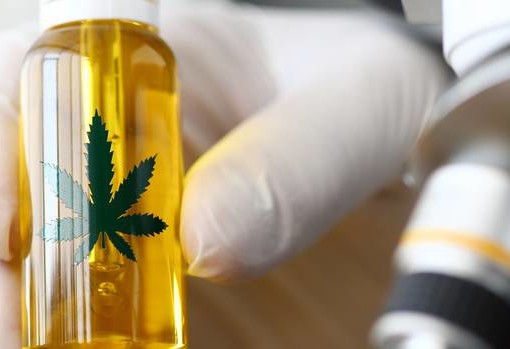 Study Finds Cannabis Extracts Alleviate Chronic Pain Symptoms