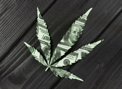 Medical vs. Recreational Cannabis: Which Is the Future?