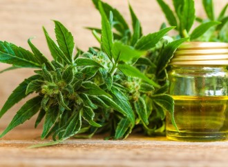 NHS plans to test its own cannabis oil
