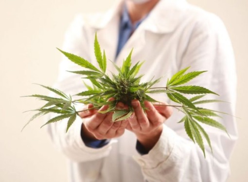5 Ways Medical Marijuana Can Help You Deal With Chronic Pain