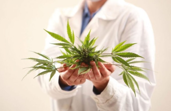 5 Ways Medical Marijuana Can Help You Deal With Chronic Pain