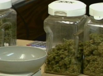 Does medical marijuana have a chance of being legalized in Kentucky?