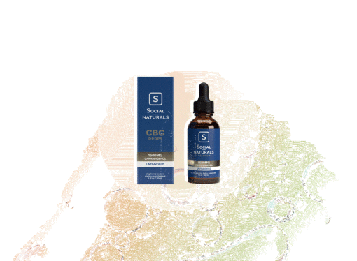 Is CBG Oil the New CBD? Here’s Why You Might Want to Consider This Hemp Extract