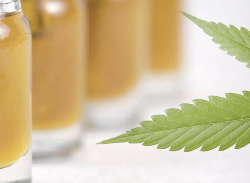 Are CBD and Hemp Oil the Same?