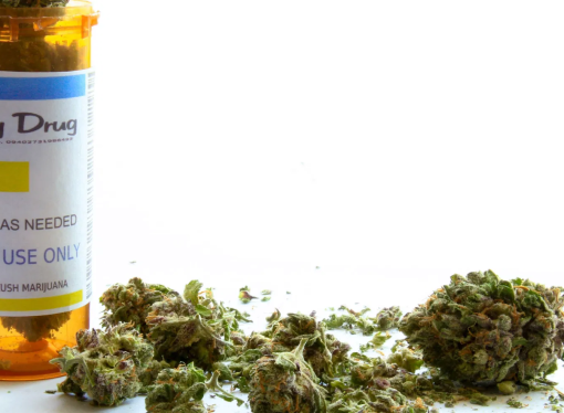 Lawmaker: South Dakota can implement medical marijuana program by November